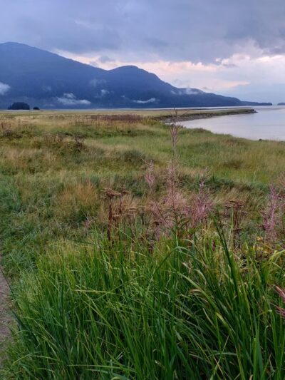 Mendenhall Refuge Trail - Juneau, AK