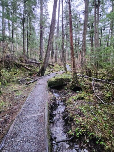 Rainforest Trail - Juneau, AK