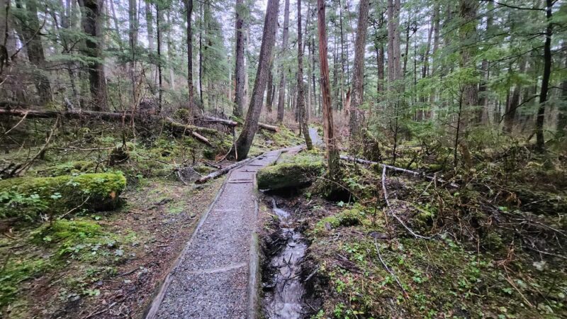 Rainforest Trail - Juneau, AK