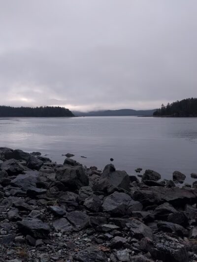 Rainforest Trail - Juneau, AK