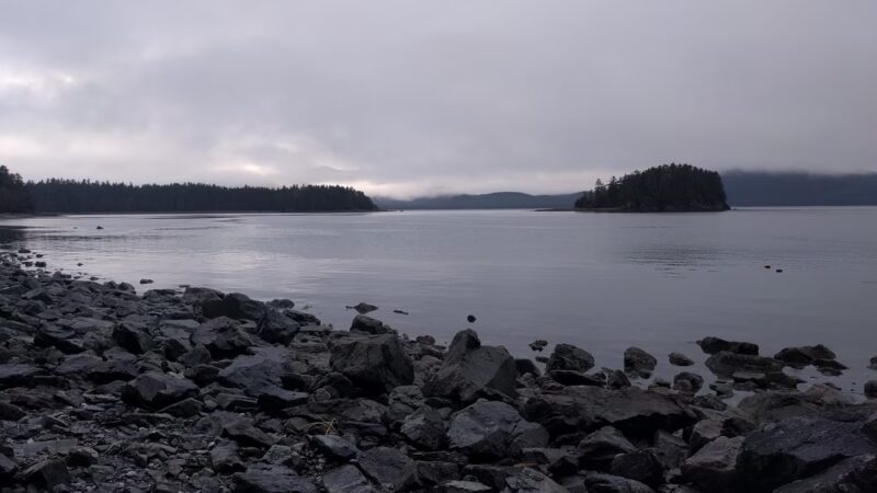 Rainforest Trail - Juneau, AK