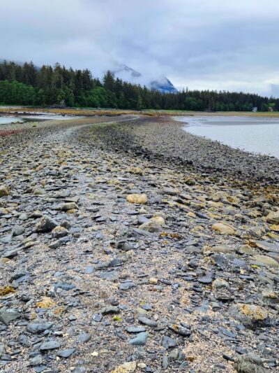 Rainforest Trail - Juneau, AK