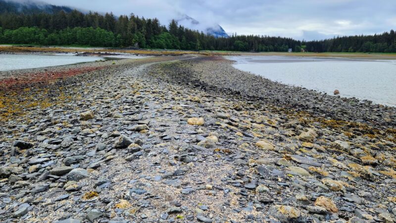 Rainforest Trail - Juneau, AK