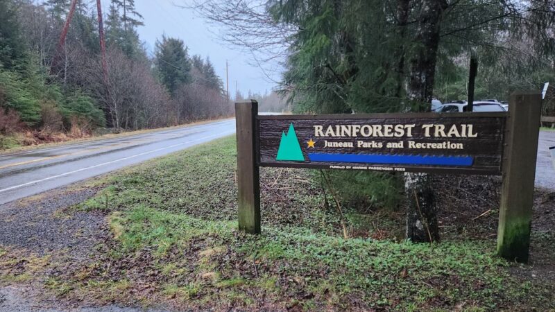 Rainforest Trail - Juneau, AK