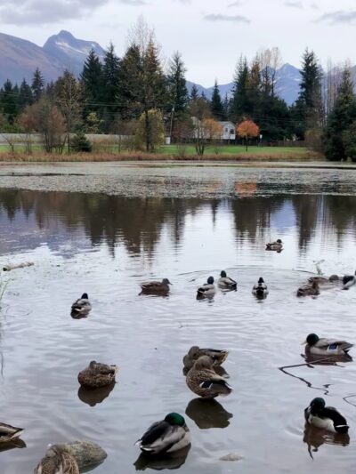Riverside Rotary Park - Juneau, AK