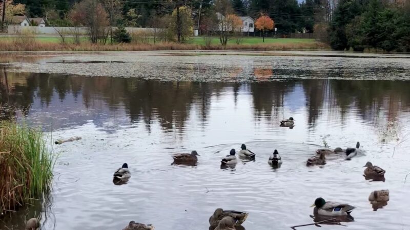 Riverside Rotary Park - Juneau, AK