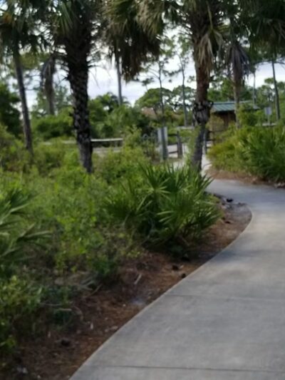 Delaware Scrub Natural Area - Jupiter, FL