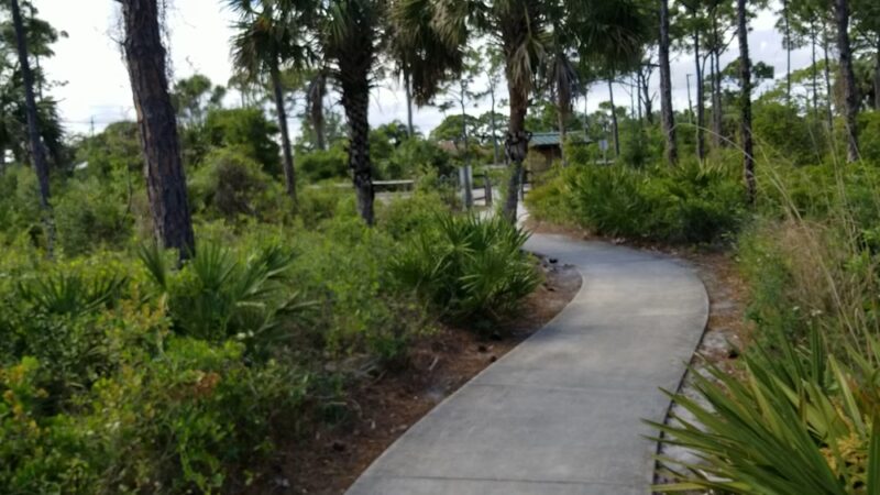 Delaware Scrub Natural Area - Jupiter, FL