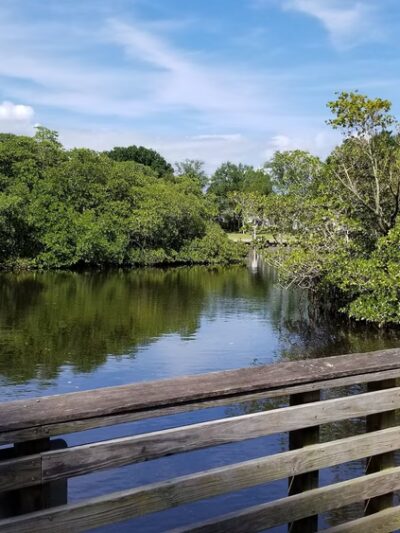Delaware Scrub Natural Area - Jupiter, FL