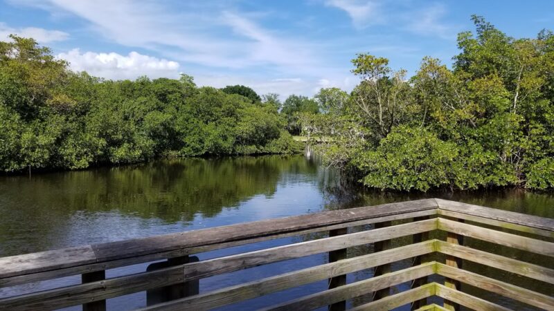 Delaware Scrub Natural Area - Jupiter, FL