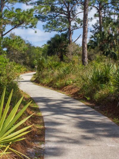Delaware Scrub Natural Area - Jupiter, FL