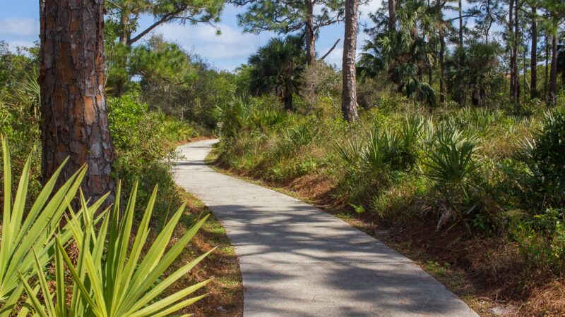 Delaware Scrub Natural Area - Jupiter, FL