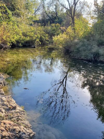 Bishop Park - Justin, TX