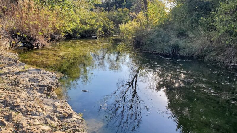 Bishop Park - Justin, TX