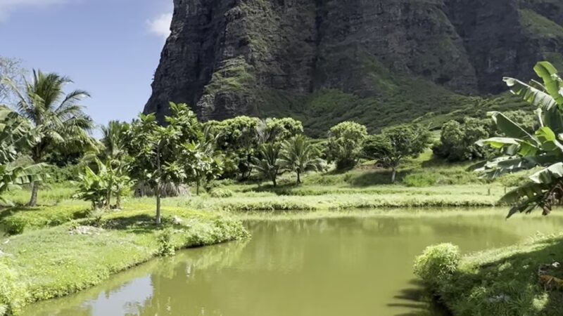 Kalaeʻōʻio Beach Park - Kaaawa, HI