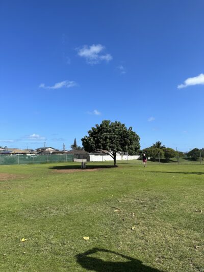 Keopuolani Dog Park - Kahului, HI