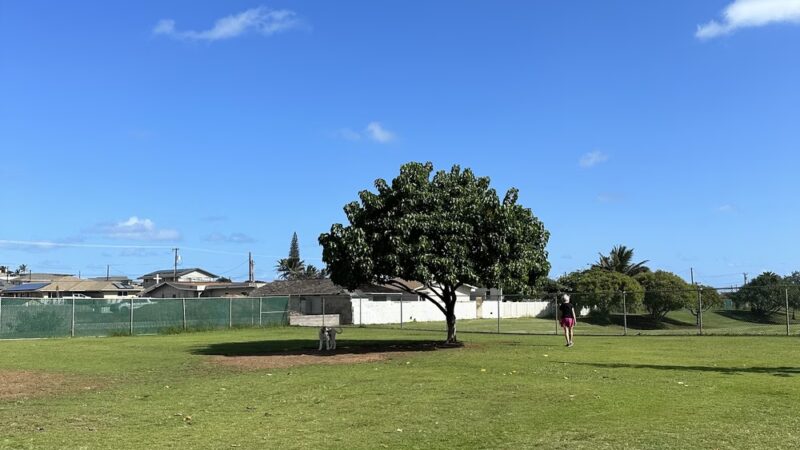 Keopuolani Dog Park - Kahului, HI