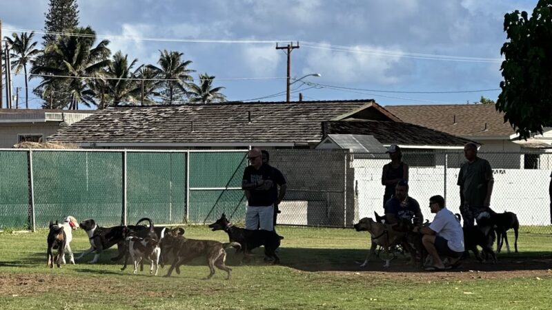 Keopuolani Dog Park - Kahului, HI