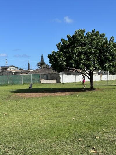 Keopuolani Dog Park - Kahului, HI