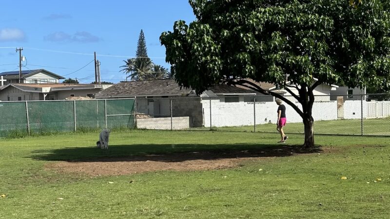 Keopuolani Dog Park - Kahului, HI