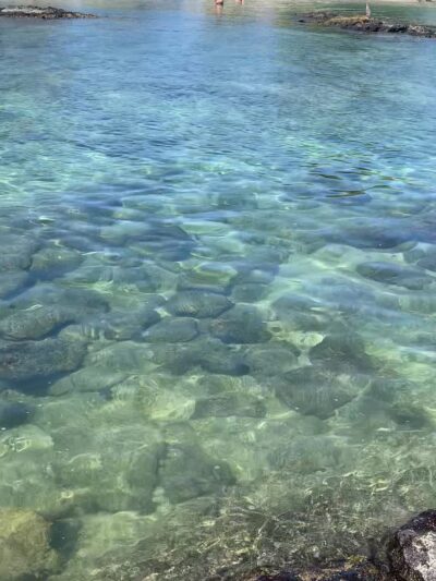 Kona Dog Beach - Kailua-Kona, HI