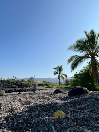 Kona Dog Beach - Kailua-Kona, HI