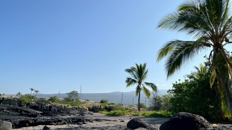 Kona Dog Beach - Kailua-Kona, HI