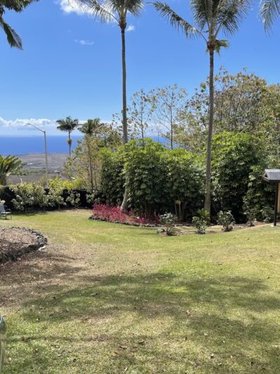 Puppy Love Park - Kailua-Kona, HI