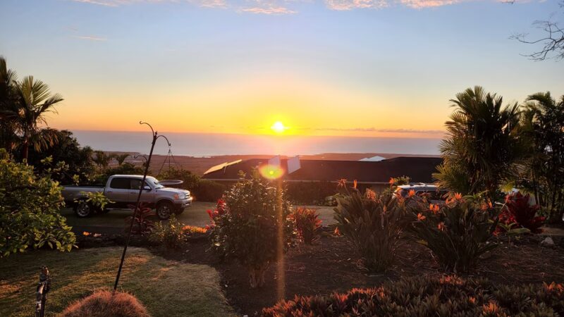 Puppy Love Park - Kailua-Kona, HI