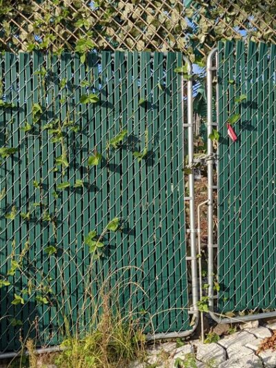 Puppy Love Park - Kailua-Kona, HI