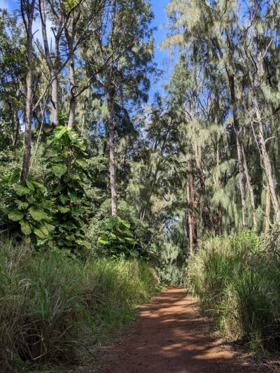 Kukuiolono Loop Trail - Kalaheo, HI