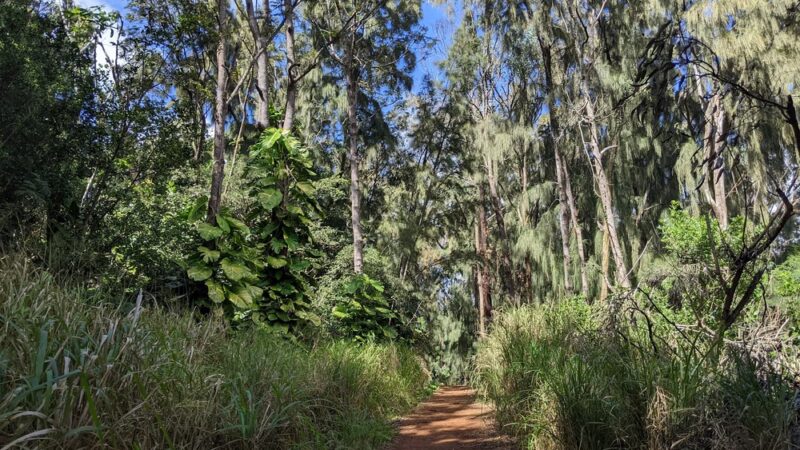 Kukuiolono Loop Trail - Kalaheo, HI