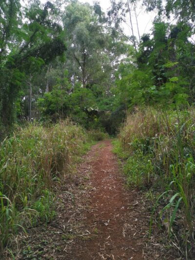Kukuiolono Loop Trail - Kalaheo, HI