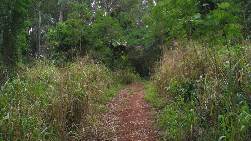 Kukuiolono Loop Trail - Kalaheo, HI