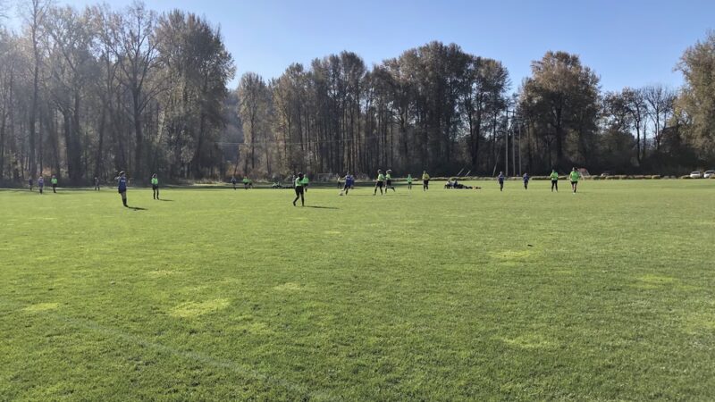 Haydu Park - Kalama, WA