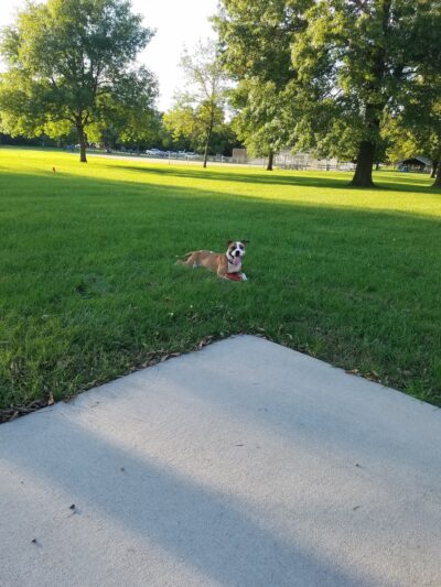 Kalona City Park - Kalona, IA