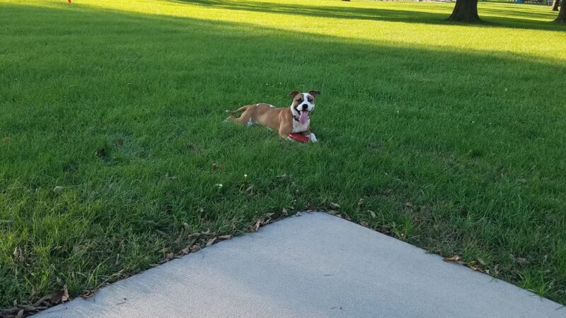 Kalona City Park - Kalona, IA