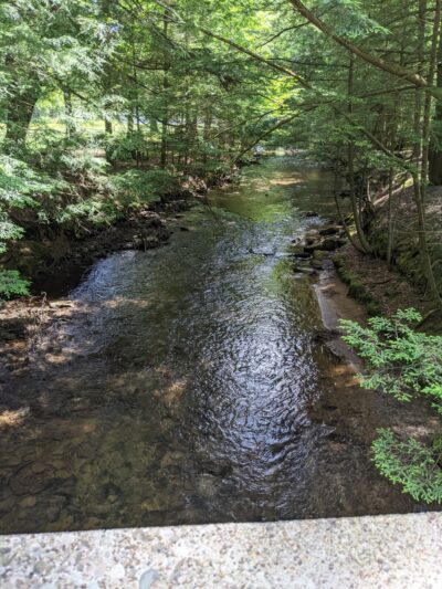 Wildcat Park. - Kane, PA