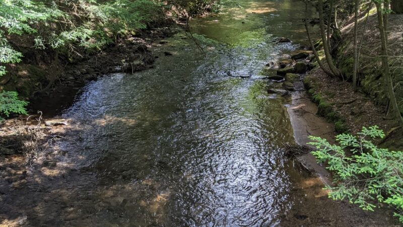 Wildcat Park. - Kane, PA