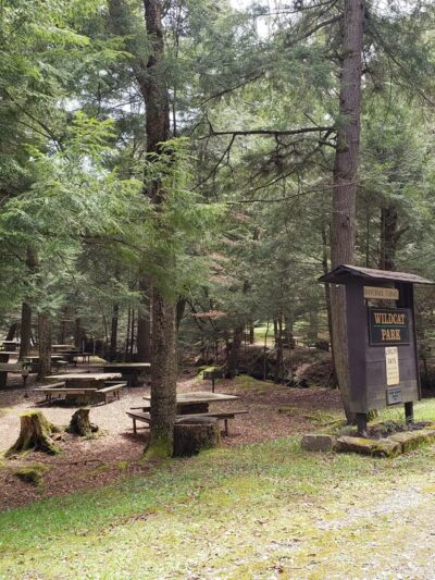 Wildcat Park. - Kane, PA