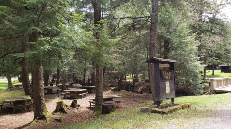 Wildcat Park. - Kane, PA