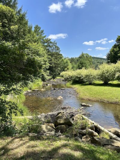 Wildcat Park. - Kane, PA
