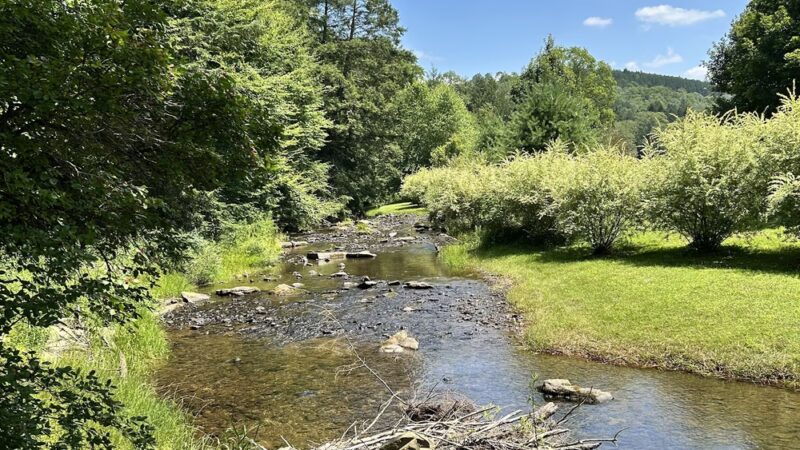 Wildcat Park. - Kane, PA