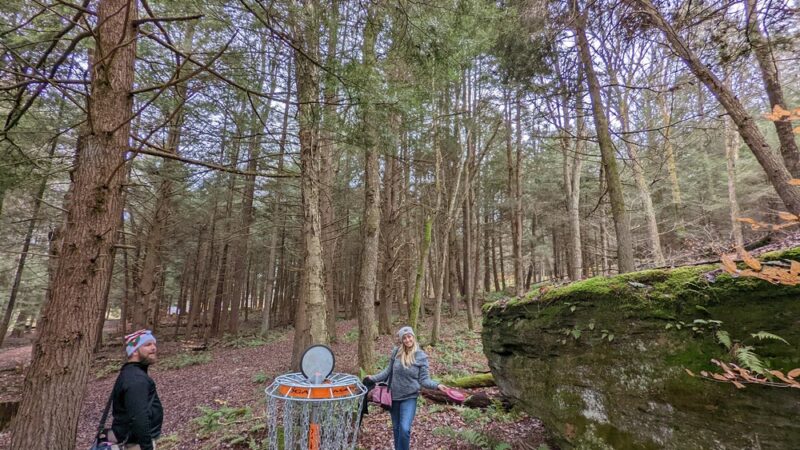 Wildcat Park. - Kane, PA