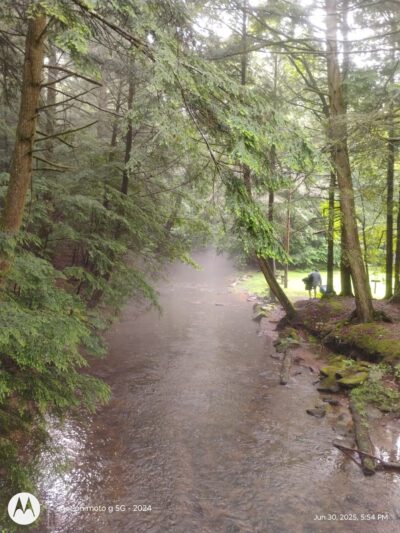 Wildcat Park. - Kane, PA