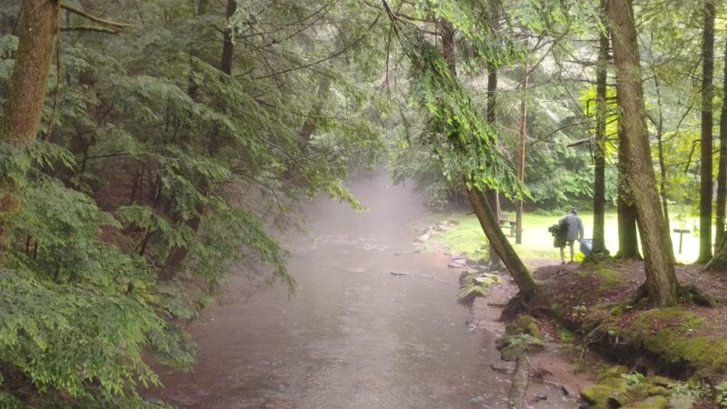 Wildcat Park. - Kane, PA