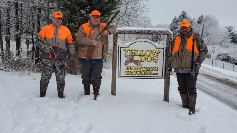 Yellow Dog Hunting Grounds Llc. - Kane, PA