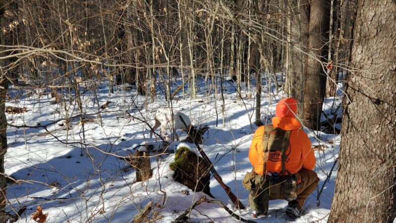 Yellow Dog Hunting Grounds Llc. - Kane, PA