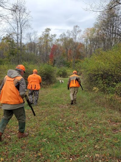 Yellow Dog Hunting Grounds Llc. - Kane, PA
