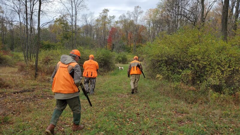 Yellow Dog Hunting Grounds Llc. - Kane, PA